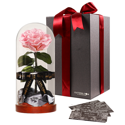 Enchanted Dome - Innocent Pink