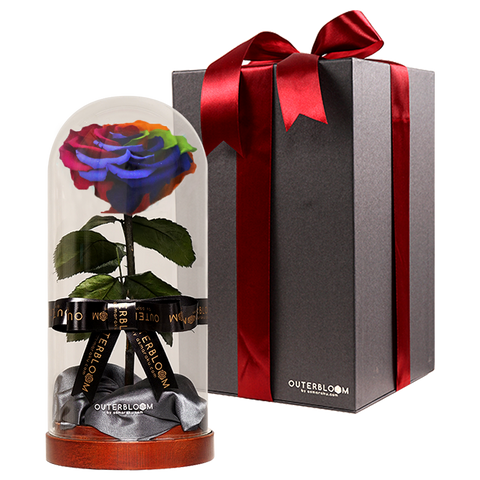 Enchanted Dome - Magic Rainbow