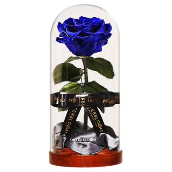 Enchanted Dome - Midnight Blue