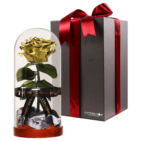 Enchanted Dome - Royal Gold