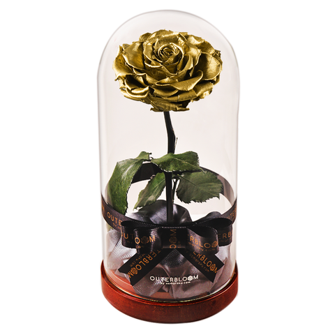 Enchanted Dome - Royal Gold