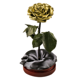 Enchanted Dome - Royal Gold