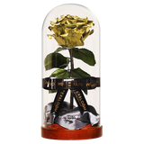 Enchanted Dome - Royal Gold