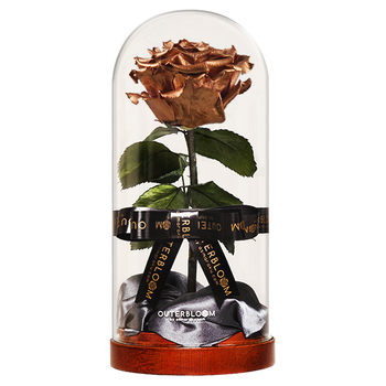 Enchanted Dome - Champagne Gold