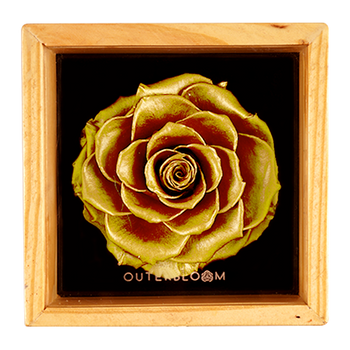 Heritage Box - Royal Gold