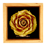 Heritage Box - Royal Gold