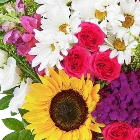 Radiant Sunshine Assortment