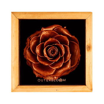 Heritage Box - Champagne Gold