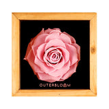 Heritage Box - Innocent Pink