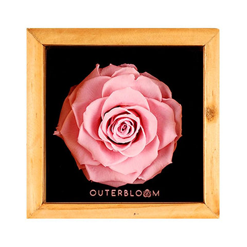 Heritage Box - Innocent Pink