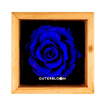 Heritage Box - Midnight Blue