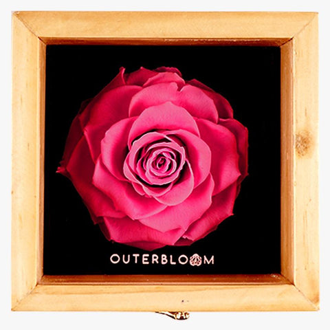 Heritage Box - Classy Pink