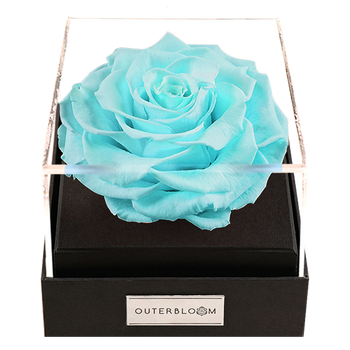 Astoria - Tiffany Blue