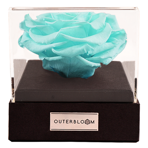 Astoria - Tiffany Blue