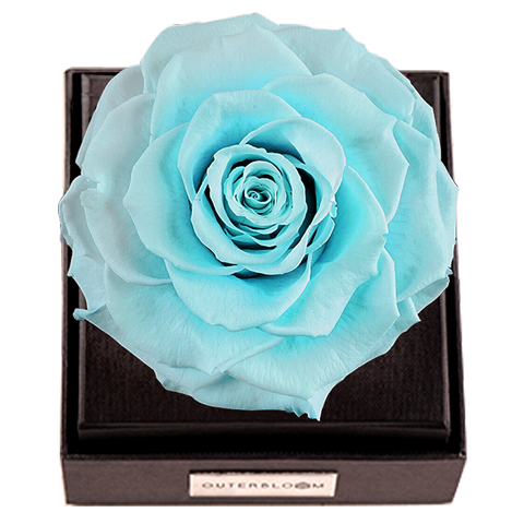 Astoria - Tiffany Blue