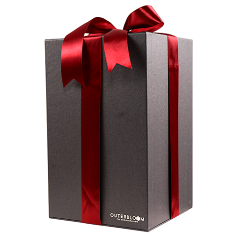 Enchanted Dome - Angelic White