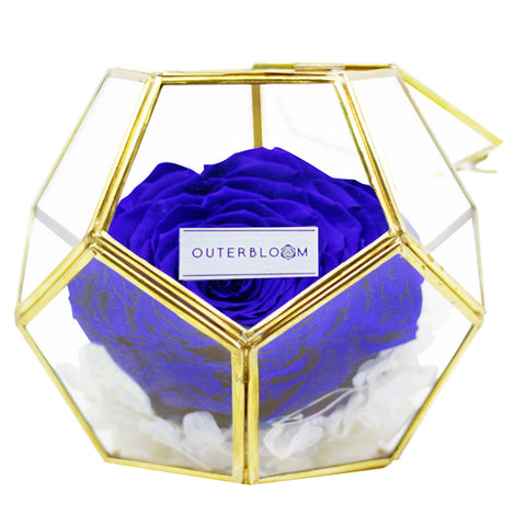 Crystal Florarium - Midnight Blue