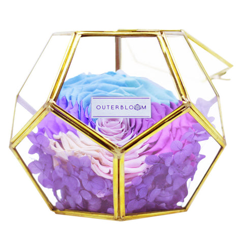 Crystal Florarium - Pastel Rainbow