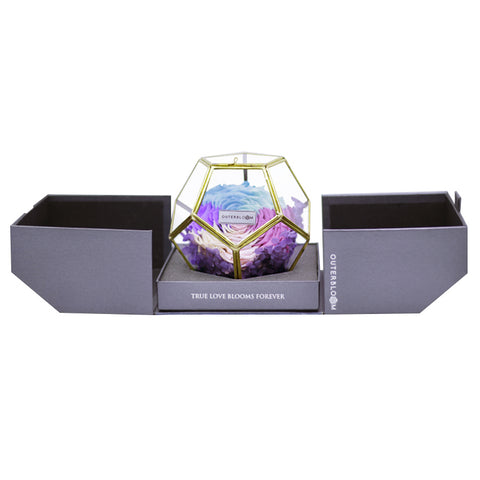 Crystal Florarium - Pastel Rainbow