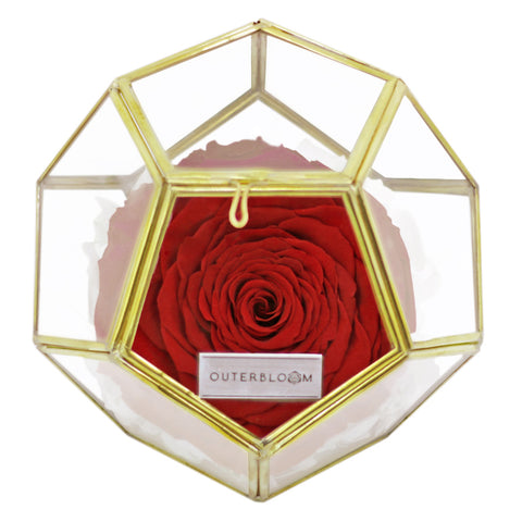 Crystal Florarium - Passionate Red