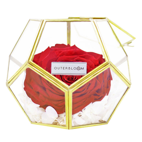 Crystal Florarium - Passionate Red