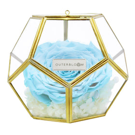 Crystal Florarium -  Tiffany Blue