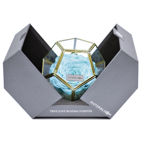 Crystal Florarium -  Tiffany Blue