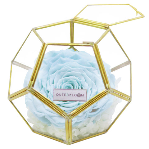 Crystal Florarium -  Tiffany Blue