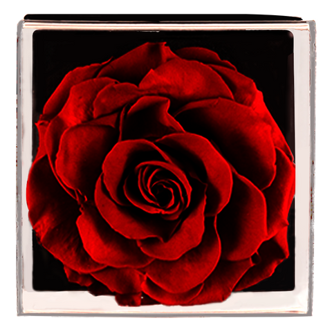 Astoria - Passionate Red