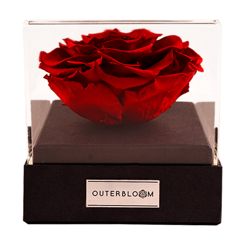 Astoria - Passionate Red